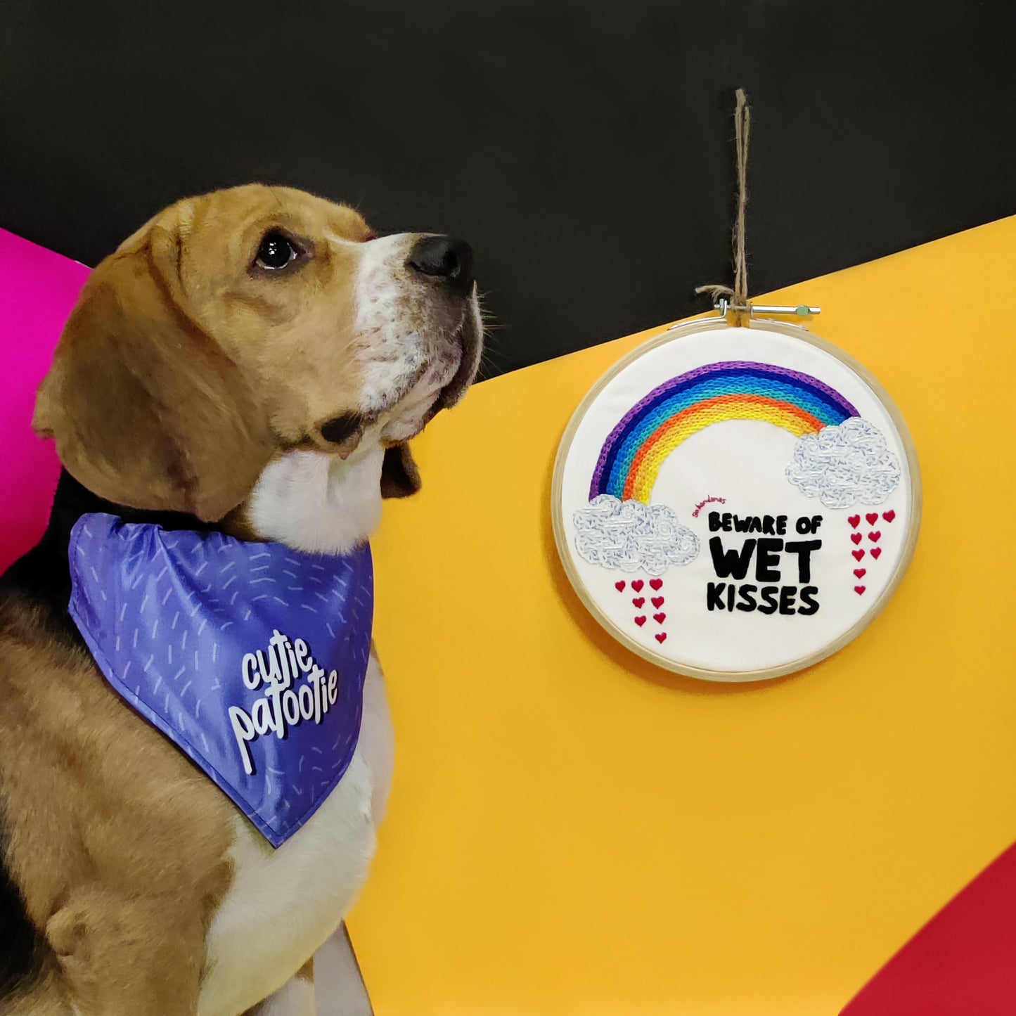 Go Bandanas Cute Rainbow Theme Beware of Wet Kisses Home Decoration Ornament Wall Hoop Hanging Handmade Embroidery Ring Frame for Pet Dog Cat Parents (10")