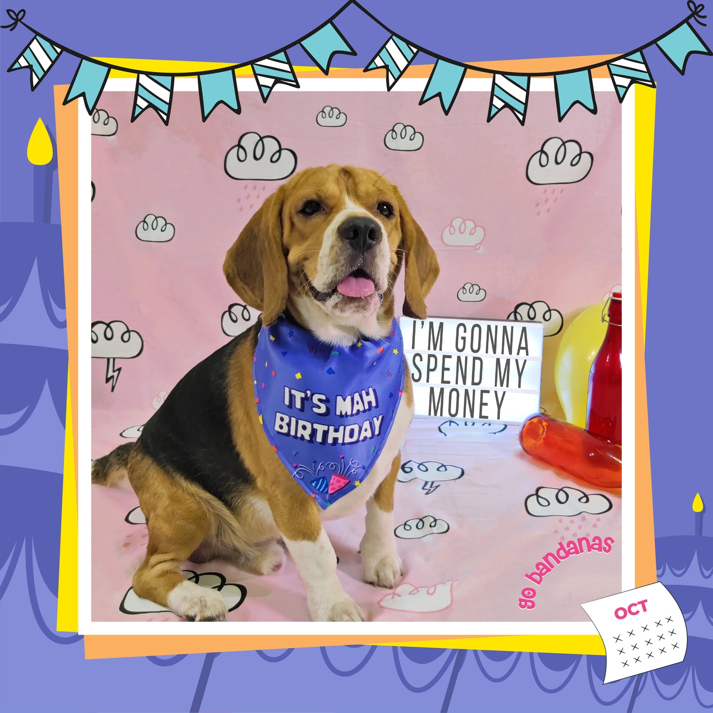 Go Bandanas Reversible It's Mah Birthday (Purple) & Heart It (Pink) Adjustable Bandana for Pet Dogs & Cats