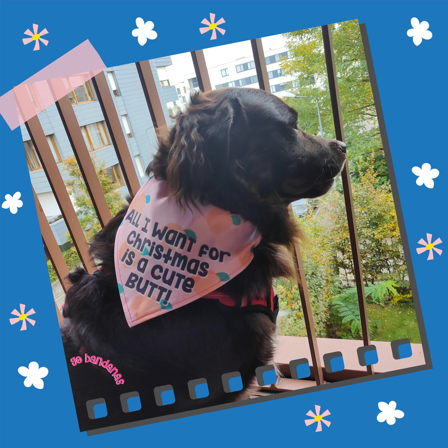 Go Bandanas Reversible Christmas Cute Butt (Pink) & Big Balls (Red) Adjustable Bandana for Pet Dogs & Cats