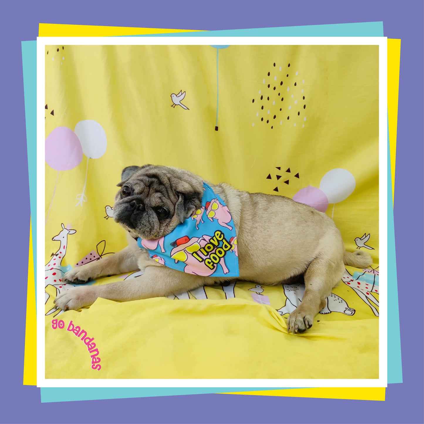 Go Bandanas Reversible It's Mah Birthday (Pink) & I Love Food (Blue) Adjustable Bandana for Pet Dogs & Cats