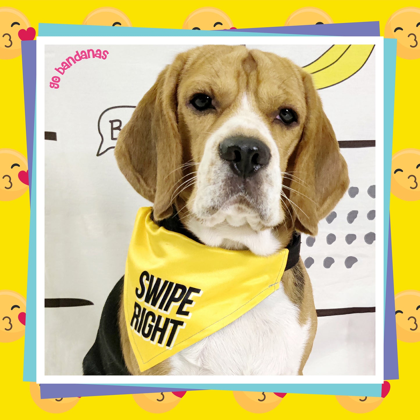 Go Bandanas Reversible Mr. Hot (Pink) & Bumble Swipe Right (Yellow) Adjustable Bandana for Pet Dogs & Cats