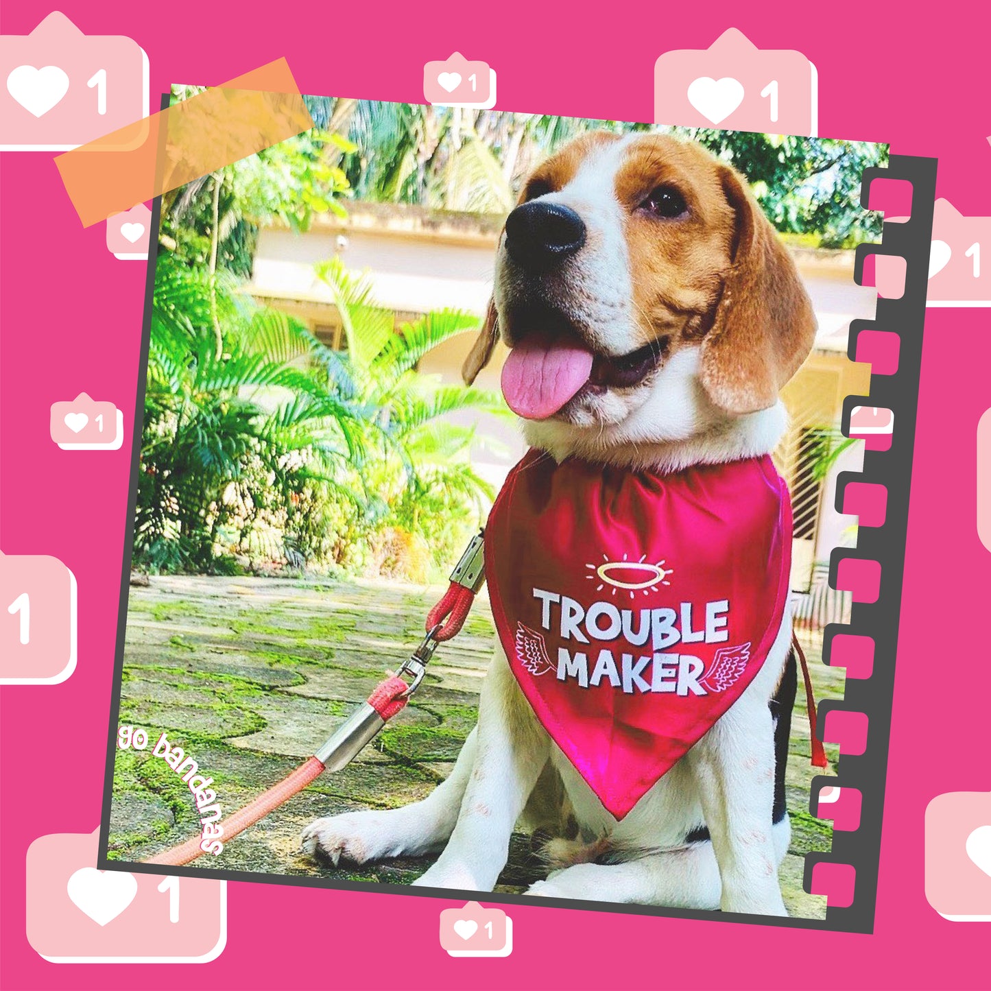 Go Bandanas Reversible Cute Like Laddoo (Blue) & Trouble Maker (Pink) Adjustable Bandana for Pet Dogs & Cats