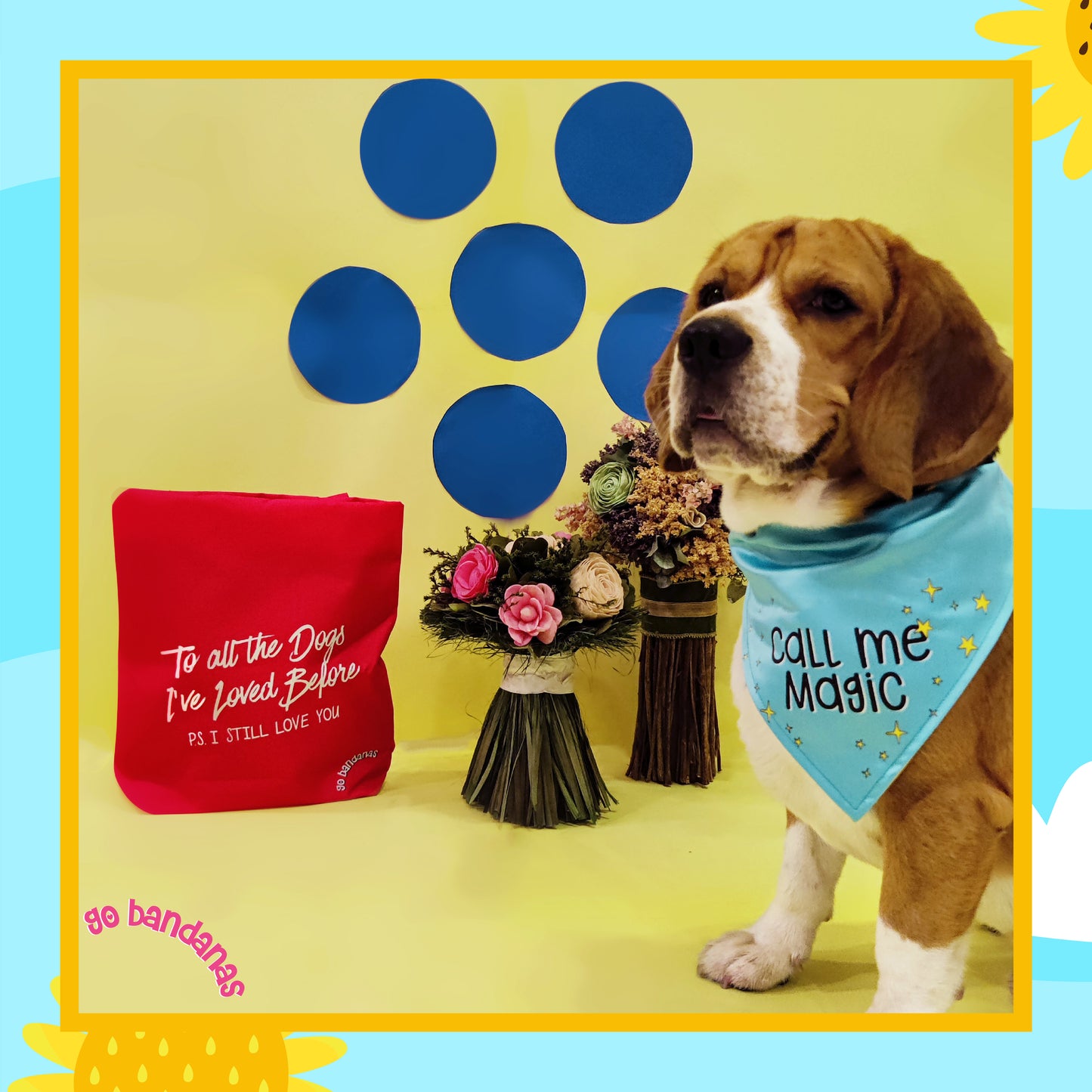 Go Bandanas Reversible Born to Save Humans (Yellow) & Call Me Magic (Blue) Adjustable Bandana for Pet Dogs & Cats