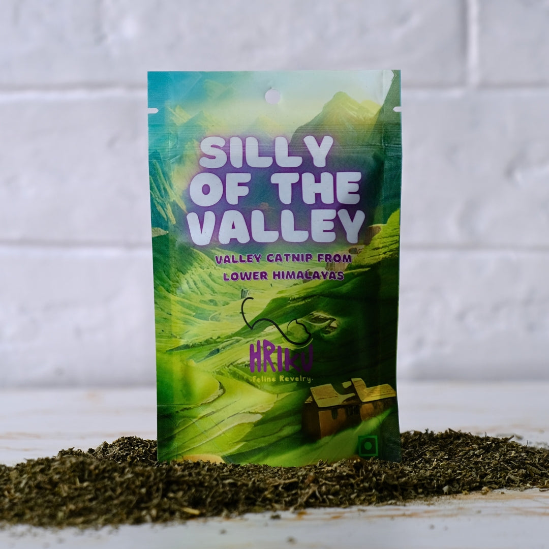 HRIKU Silly of The Valley - Naturally Grown Himalayan Catnip Treat for Cats - 25 gm
