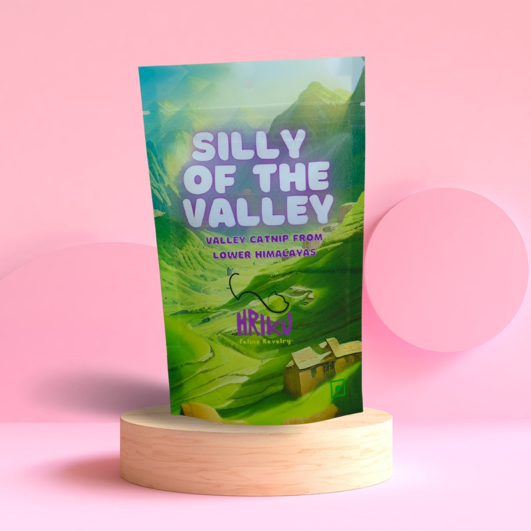 HRIKU Silly of The Valley - Naturally Grown Himalayan Catnip Treat for Cats - 25 gm