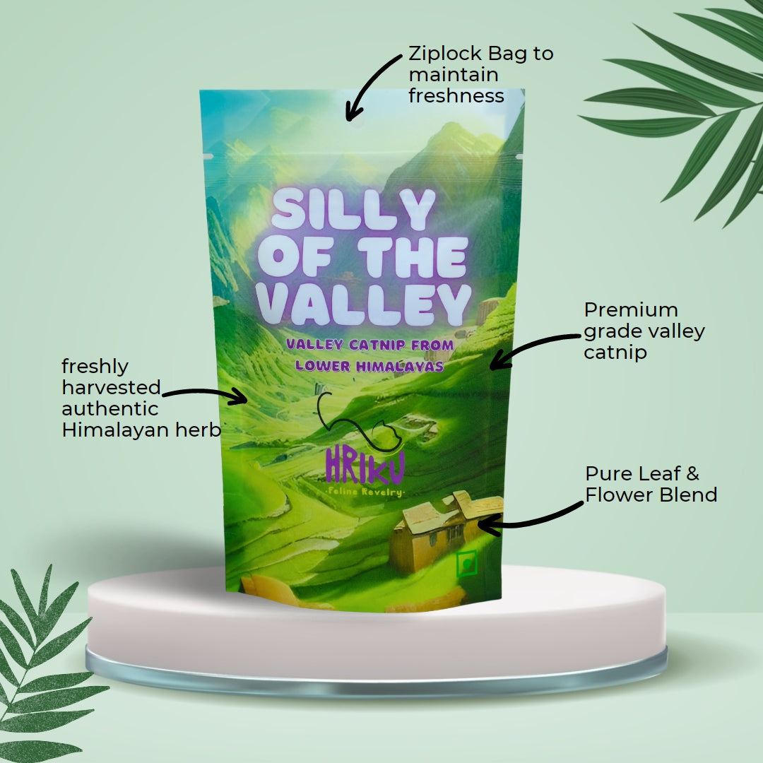 HRIKU Silly of The Valley - Naturally Grown Himalayan Catnip Treat for Cats - 25 gm