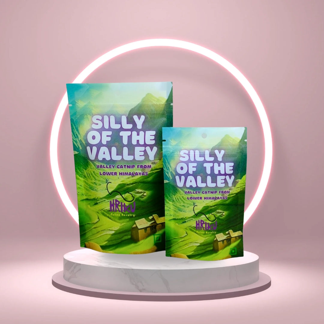HRIKU Silly of The Valley - Naturally Grown Himalayan Catnip Treat for Cats - 25 gm