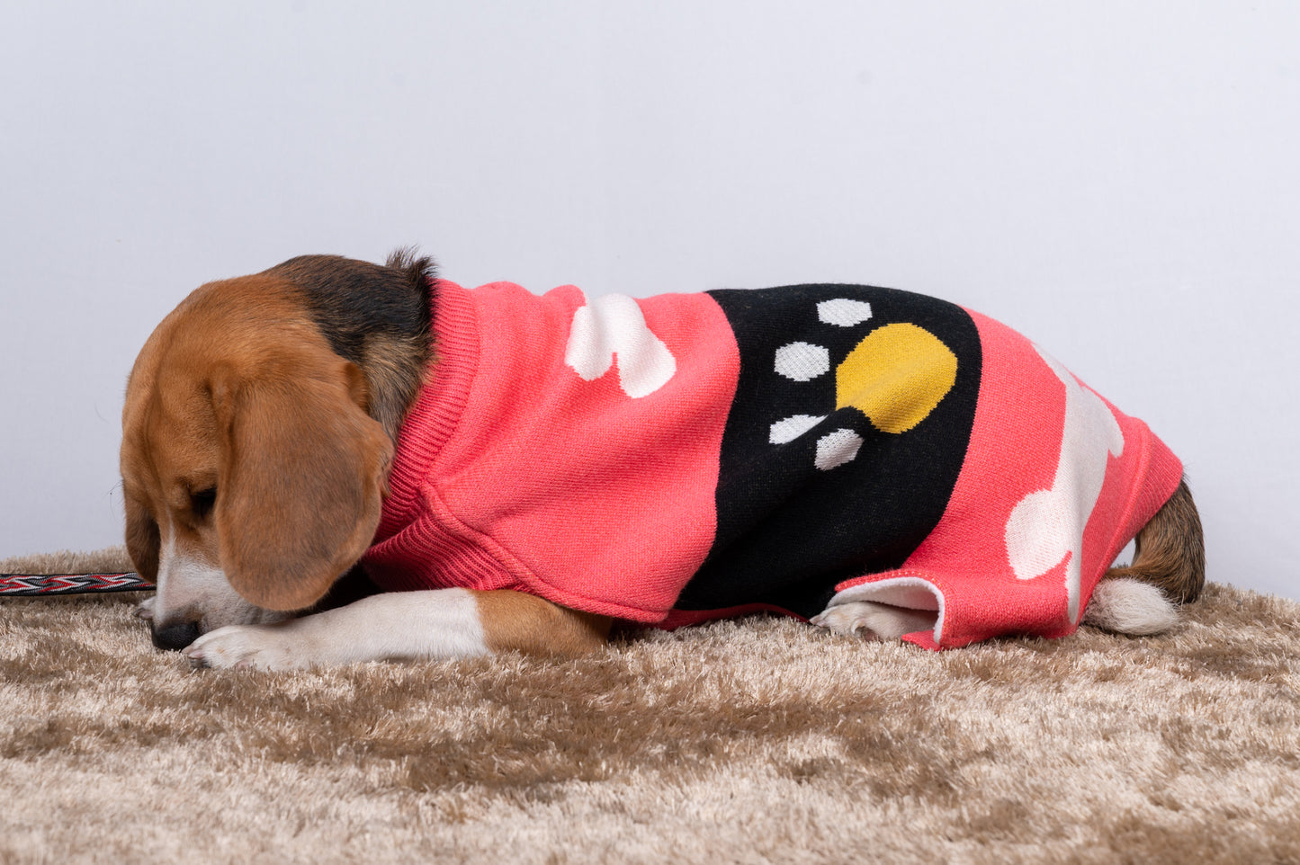 Petsnugs Bone and Paws Sweater - Pink & Black