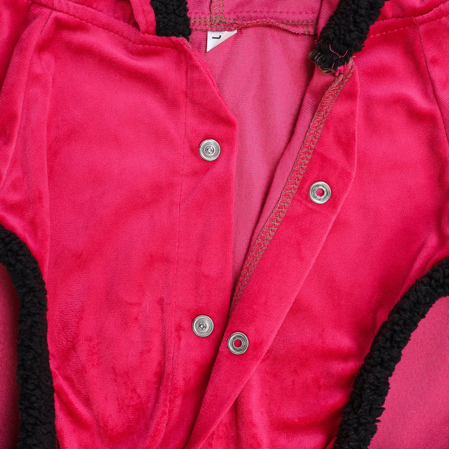 Pink Velvet Hoodie Dog With Fur