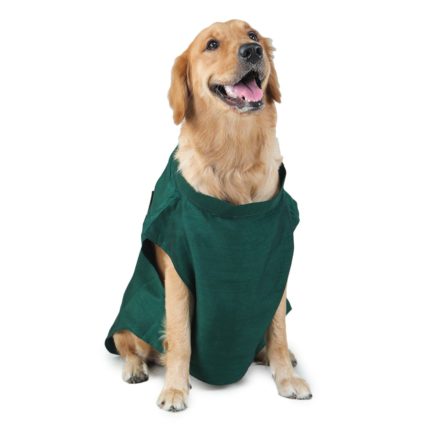 Green Dog Sherwani