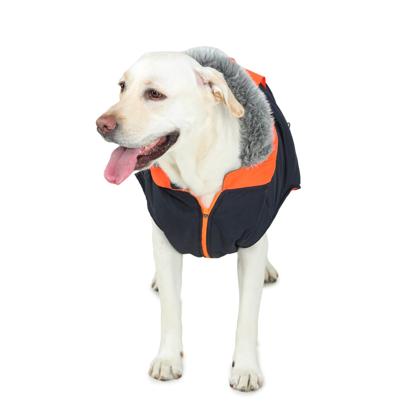 Navy/Orange Dog Jacket With Zipper