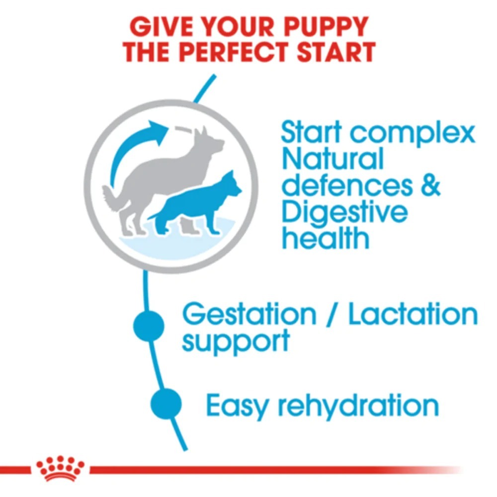Royal Canin Giant Breed Dog and Puppies Starter Dry Food