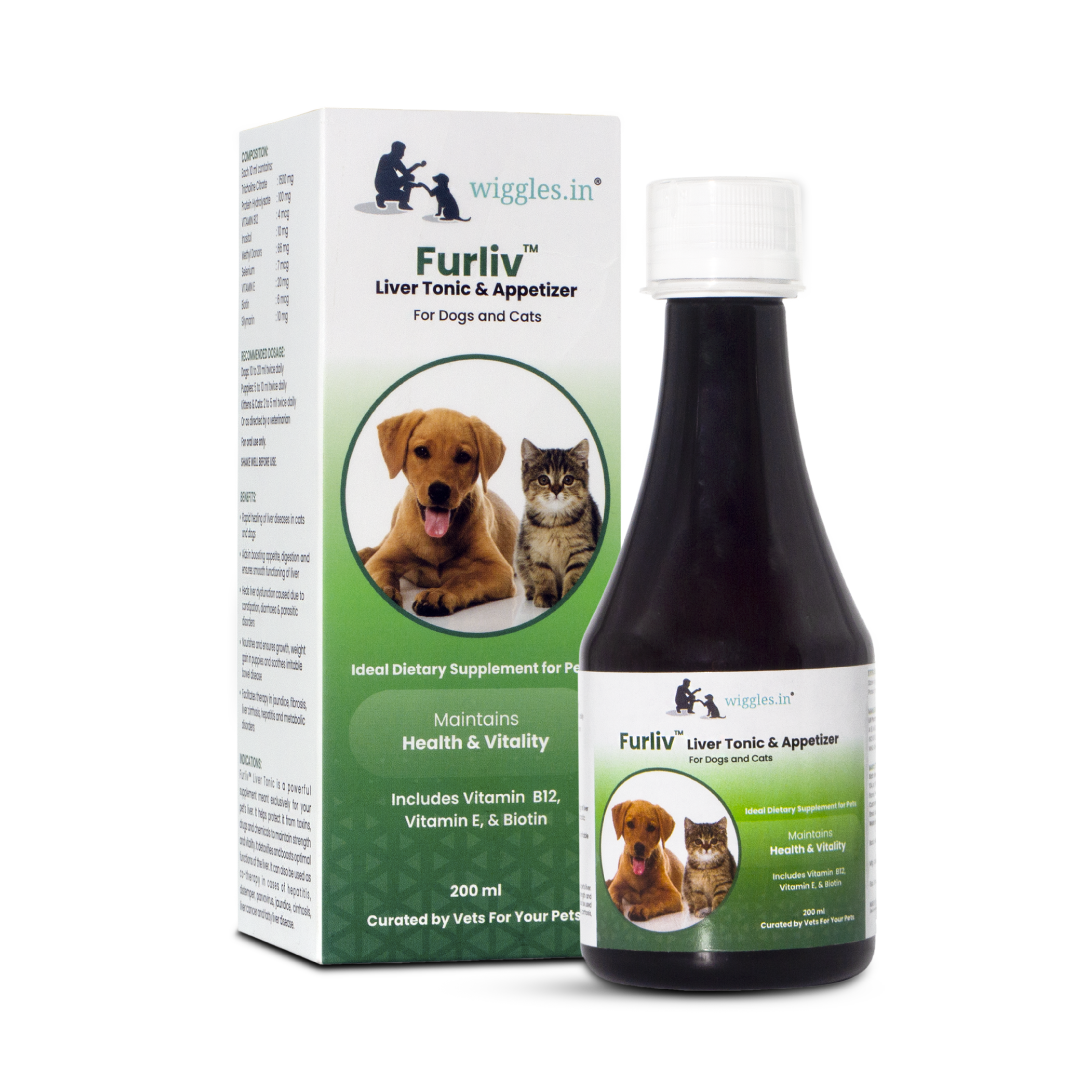 Furliv Liver Tonic for Dogs Cats Appetite Booster - Multivitamin Appetizer Pet Syrup, 200ml