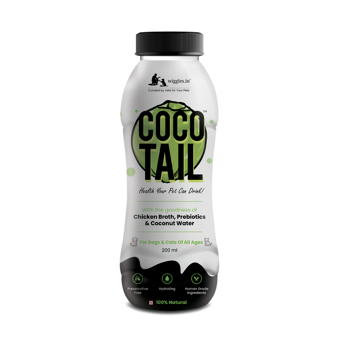 WIGGLES Cocotail Energy Drink for Dogs Cats, 200ml - Balances Electrolytes, Supports Dehydration Fatigue - Chicken Broth, Prebiotics, Coconut Water