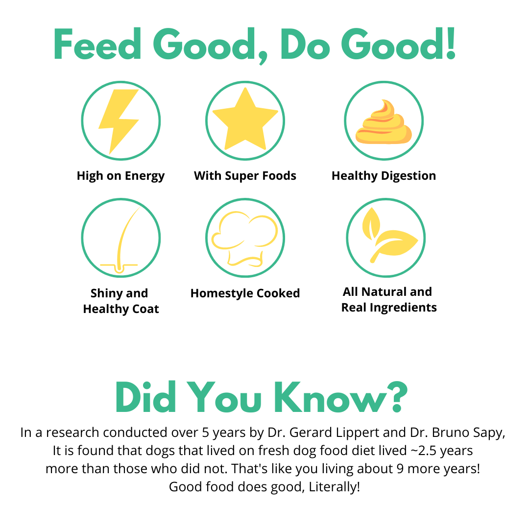 The Super Monster Club ( 800g of Fresh dog food  + 4 flavours of Instant Bone Broth)