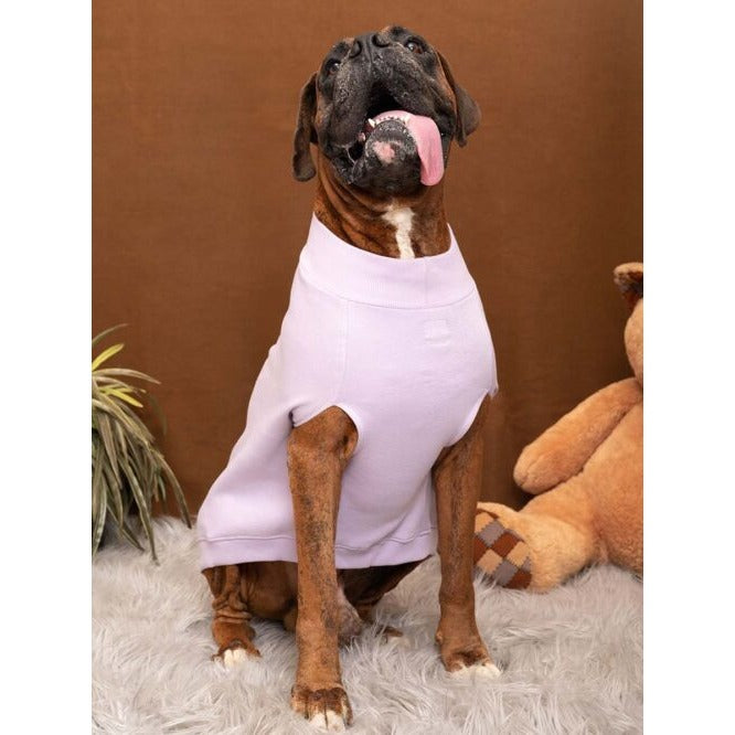 Monster Inc. Doggie Style Sweatshirt