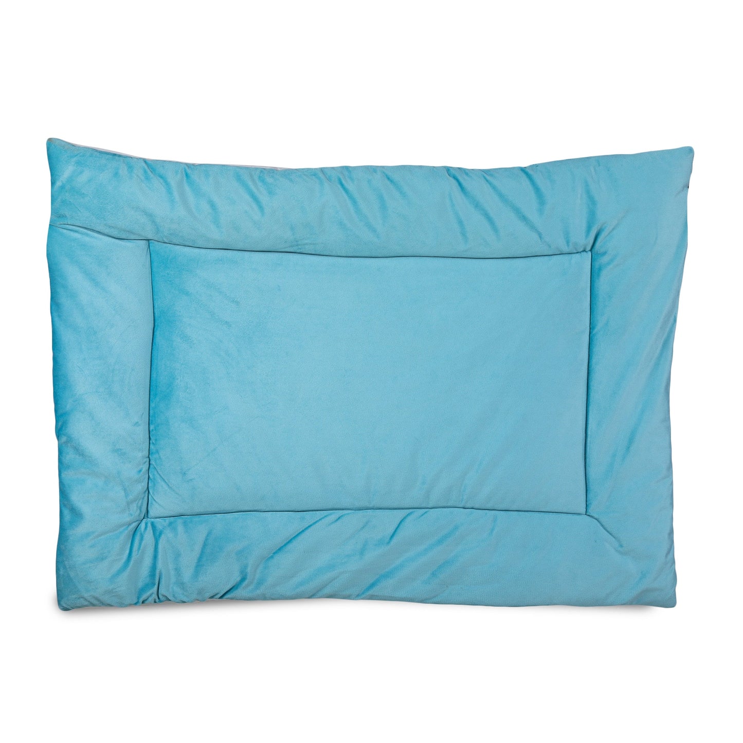 Dog Mat (Frozen Blue)