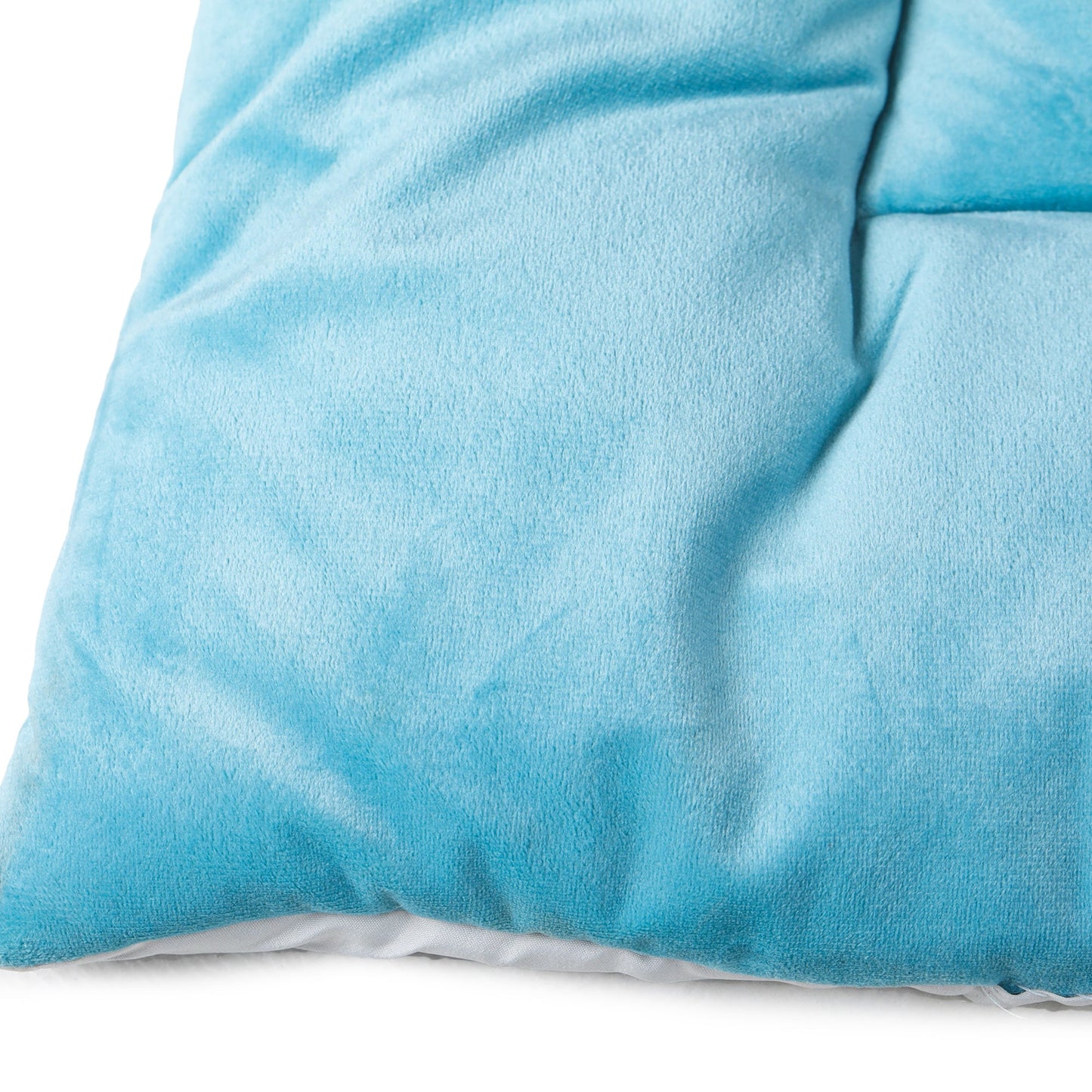 Dog Mat (Frozen Blue)