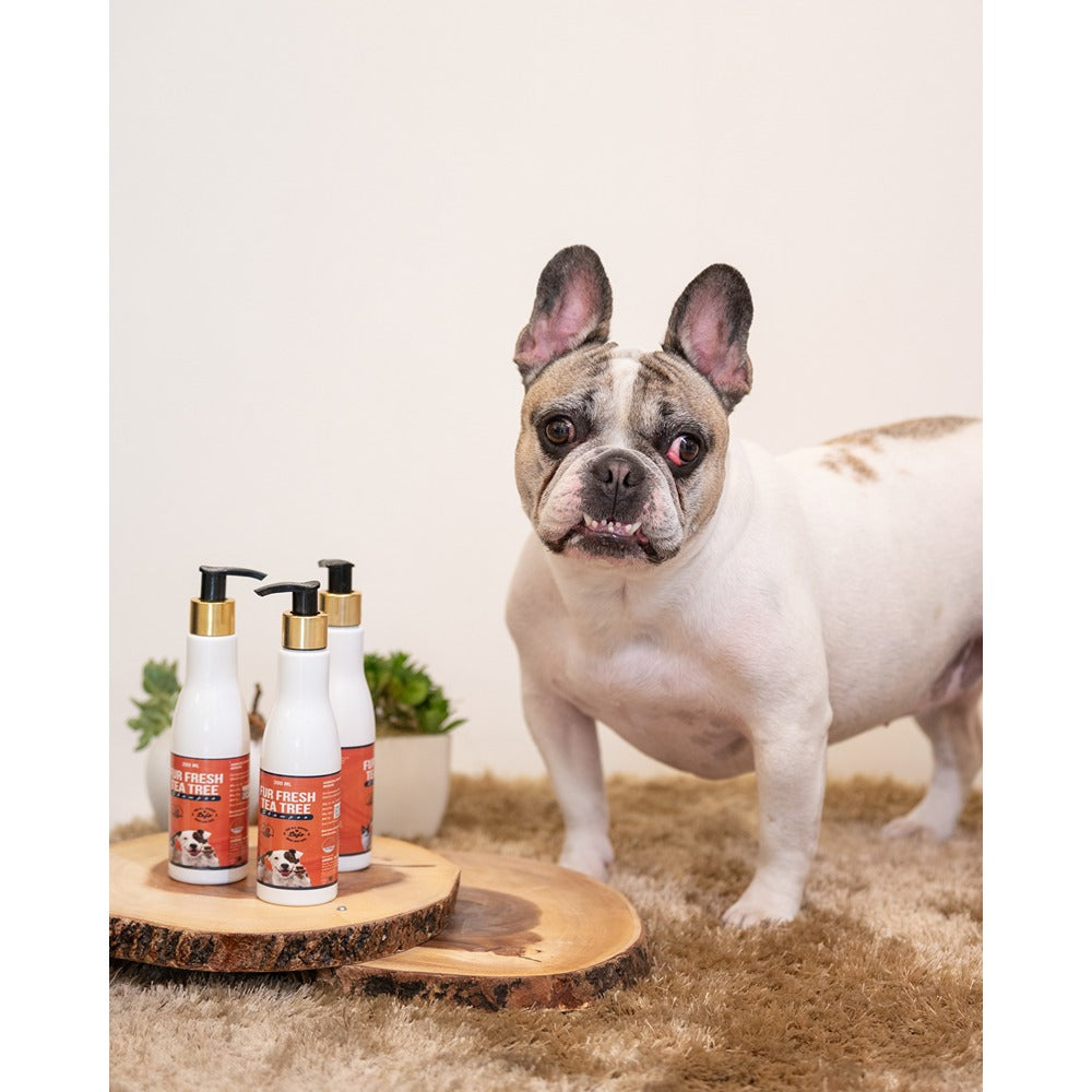 Fur Fresh Tea Tree Shampoo