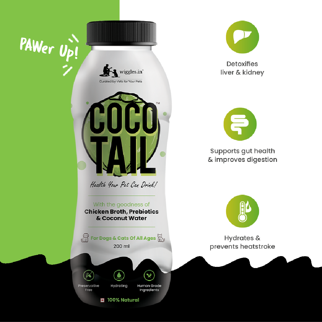WIGGLES Cocotail Energy Drink for Dogs Cats, 200ml - Balances Electrolytes, Supports Dehydration Fatigue - Chicken Broth, Prebiotics, Coconut Water