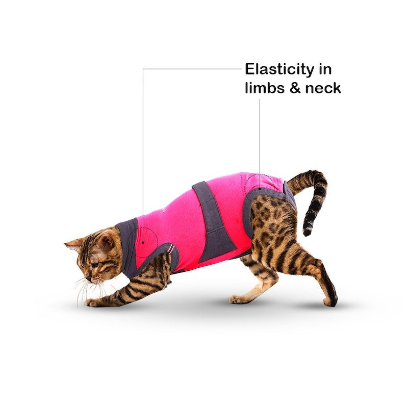 MAXX Recovery Suit for Cats, E Collar Alternative - Pink Gray