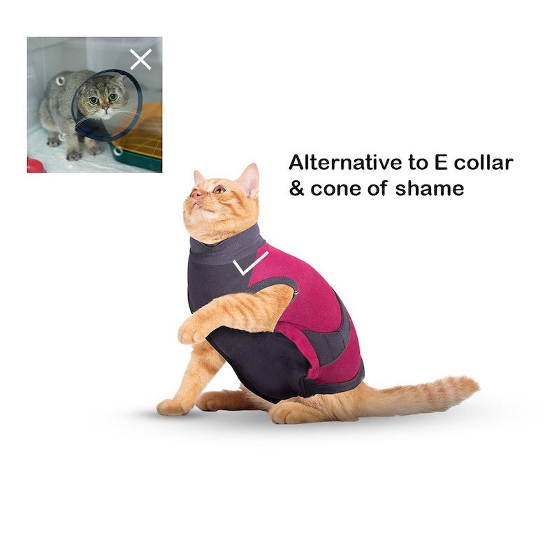 MAXX Recovery Suit for Cats, E Collar Alternative - Pink Gray