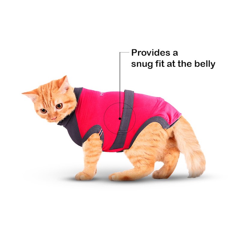 MAXX Recovery Suit for Cats, E Collar Alternative - Pink Gray