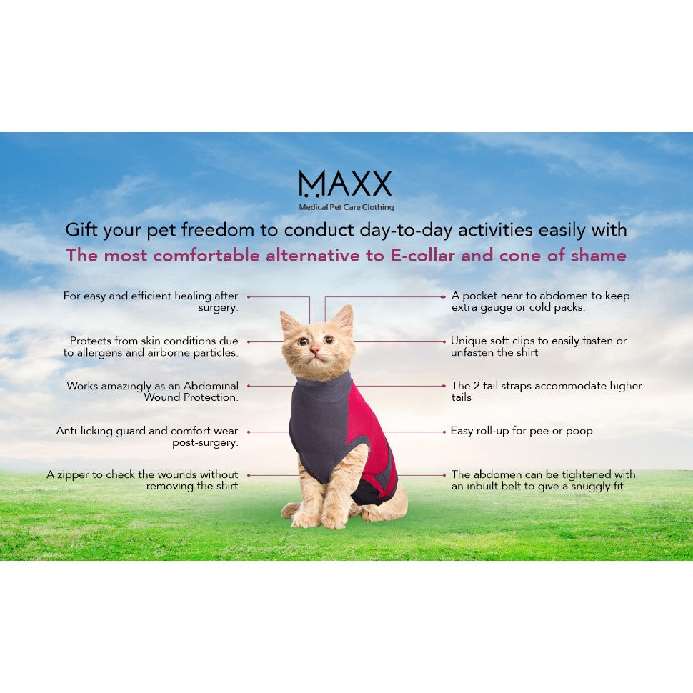 MAXX Recovery Suit for Cats, E Collar Alternative - Pink Gray