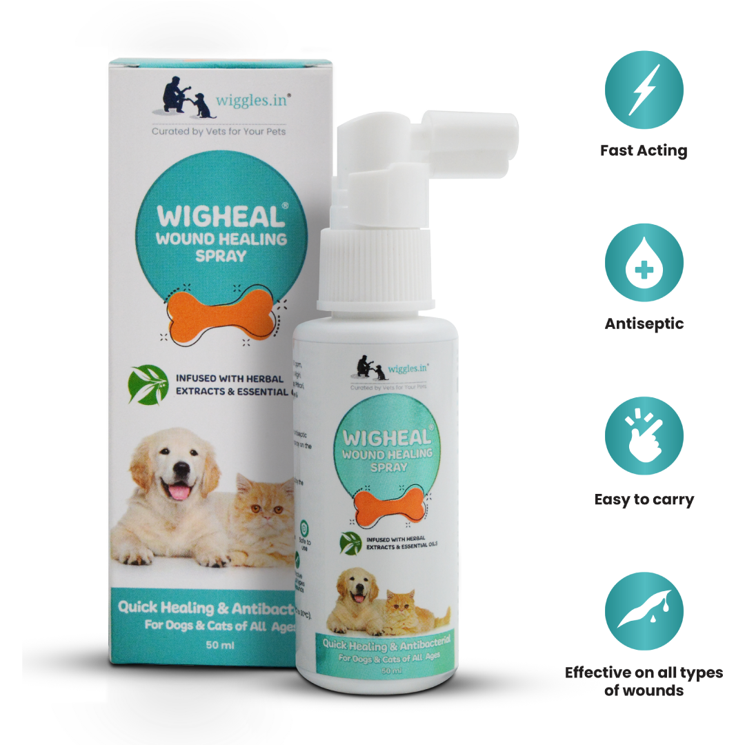 Wigheal Wound Healing Spray for Dogs & Cats - 50 ml