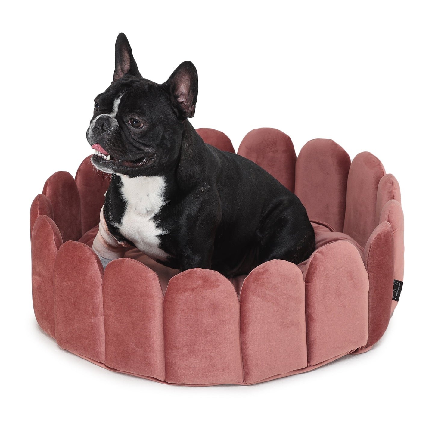 Velvet Fenced Dog Bed