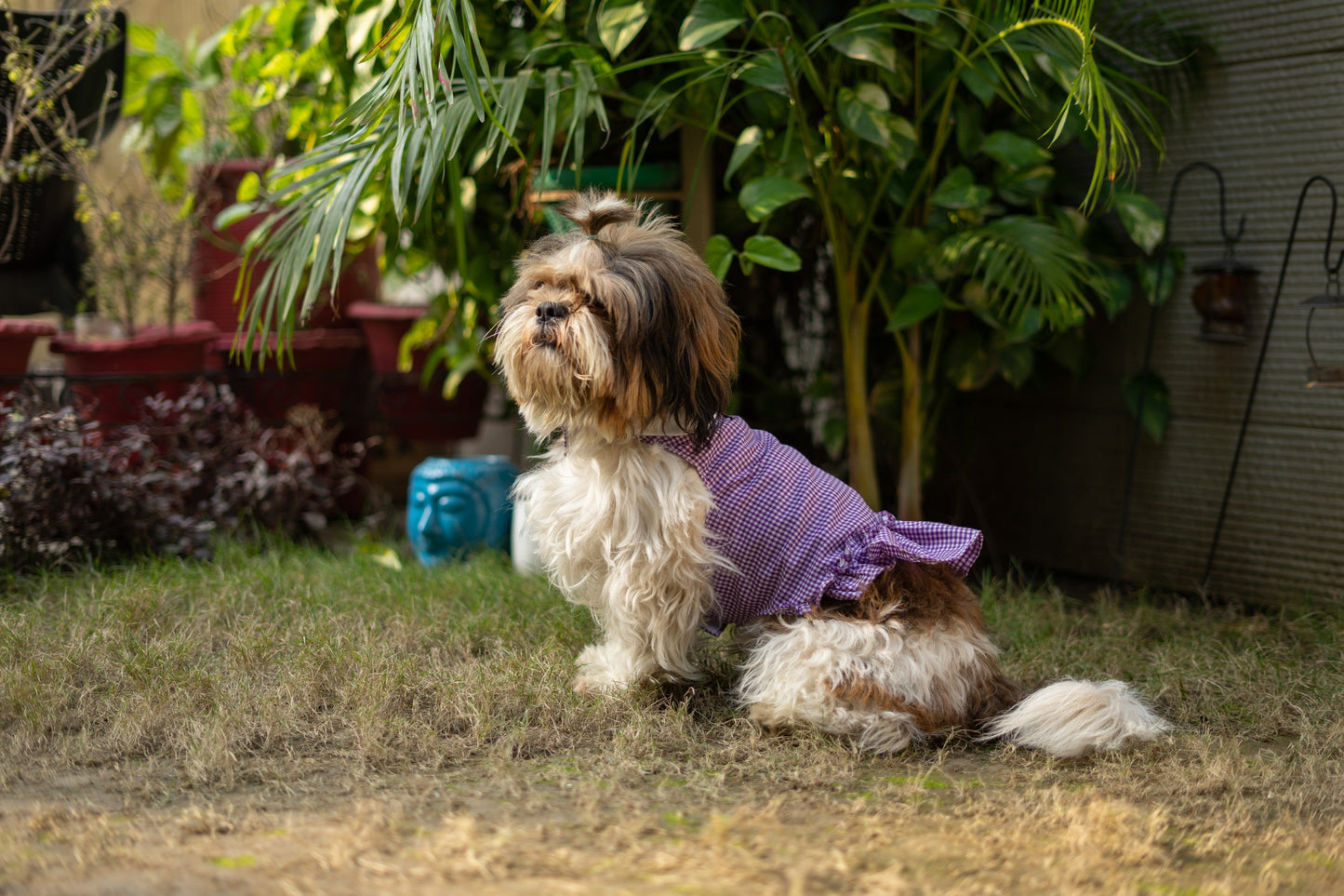 Strapy Summer dress: Purple