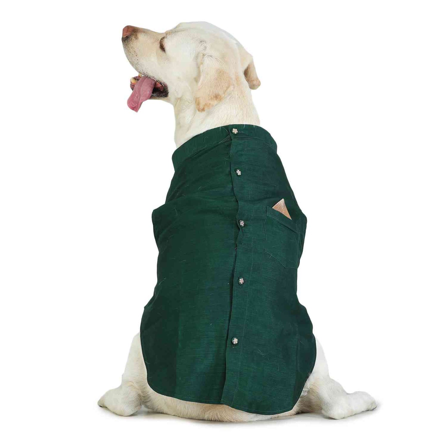 Green Dog Sherwani