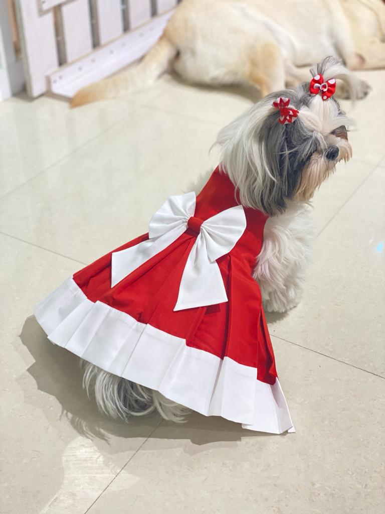 Christmas Frock