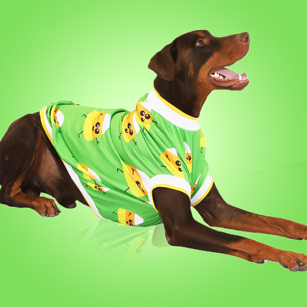 Buy Dog Clothes