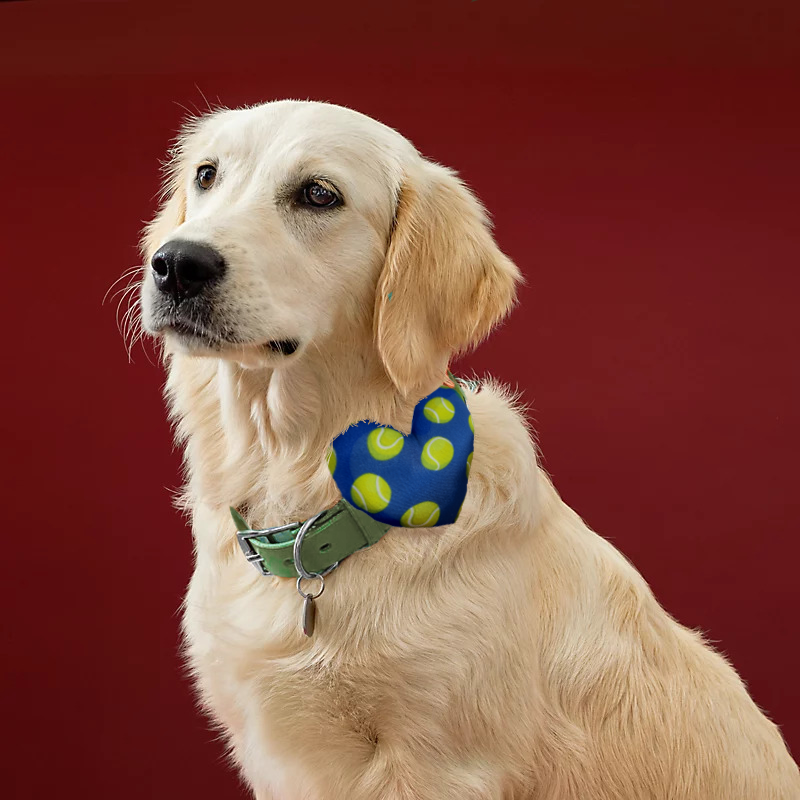 Tennis Balls Collar Insert