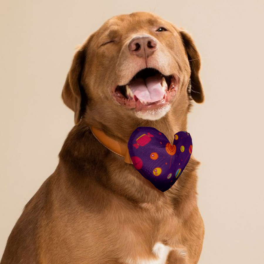 Candyland Collar Insert