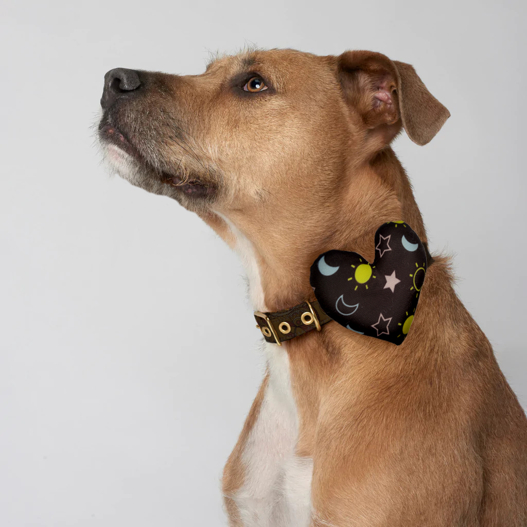 Celestial Collar Insert