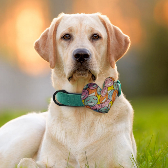 Cute Cats Collar Insert