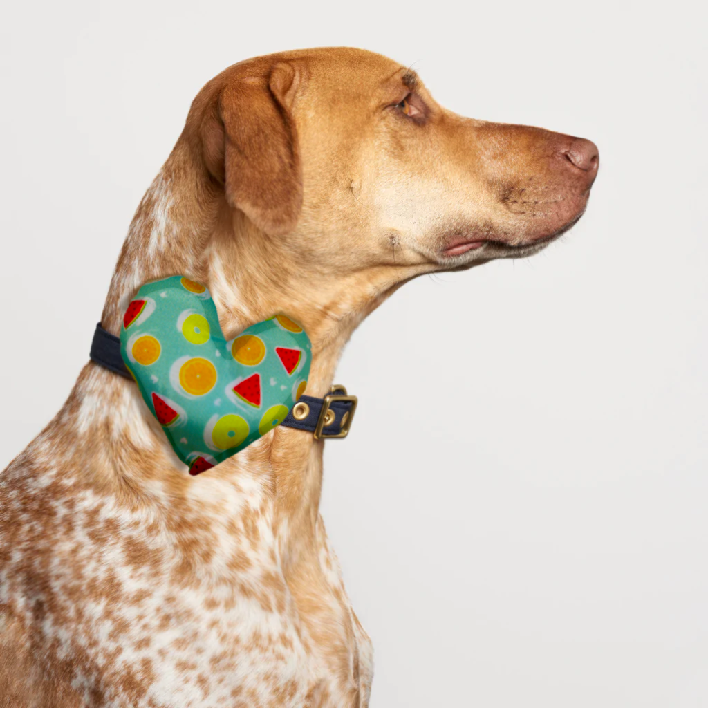 Fruity Collar Insert