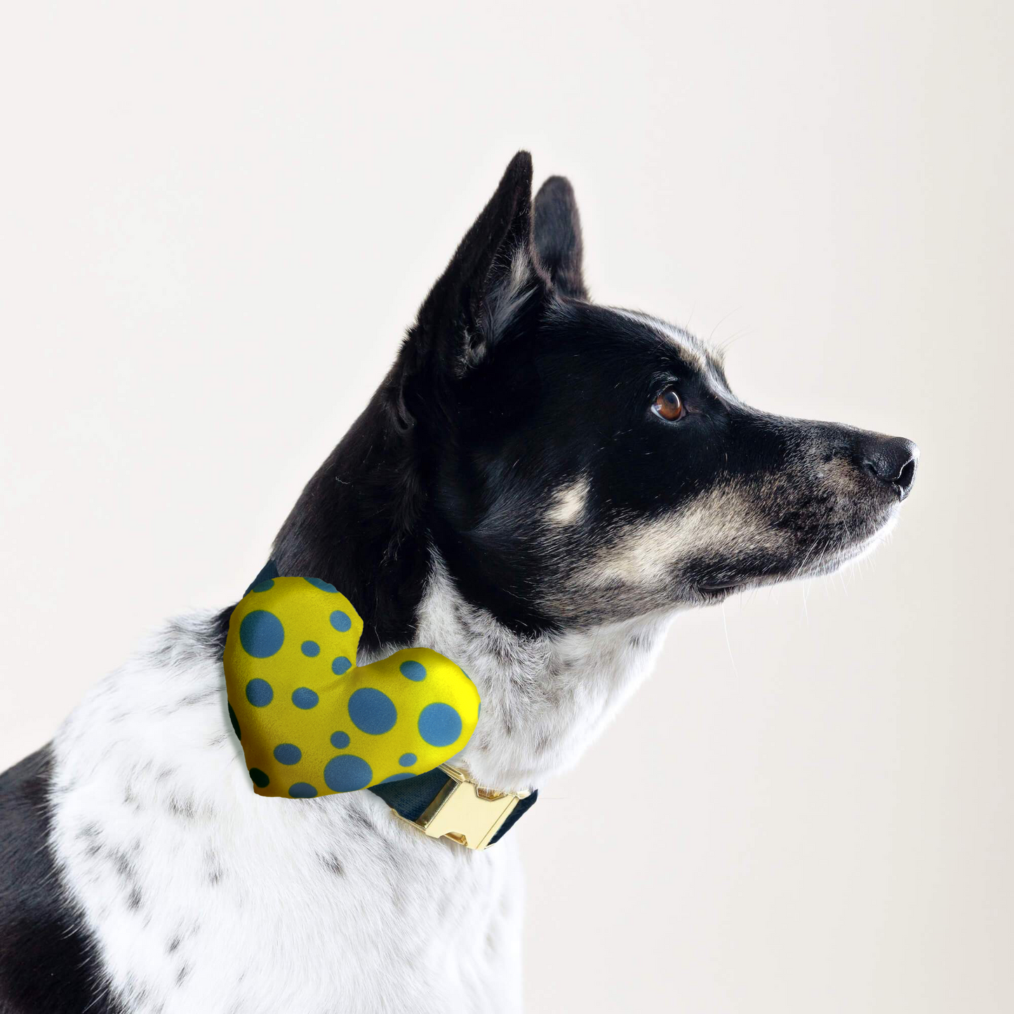 Polka Dots Collar Insert