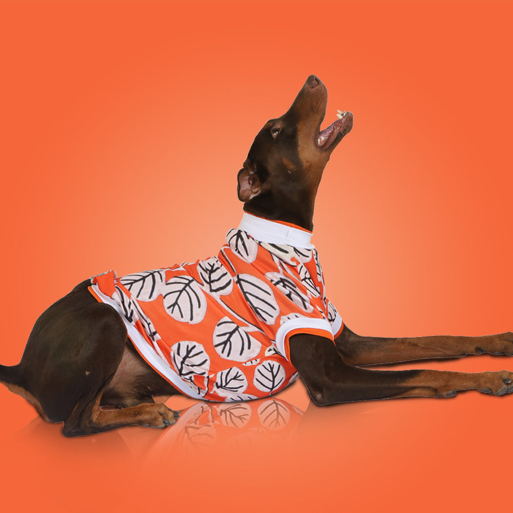 Blossom Dog Tee - orange