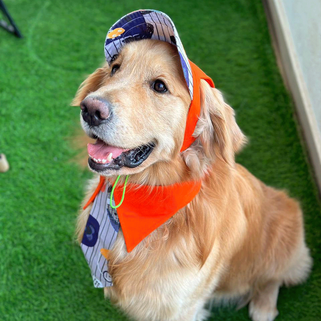 Orange Printed Neck Tie & Baseball Cap Combo