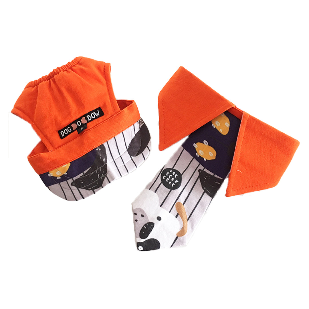 Orange Printed Neck Tie & Baseball Cap Combo