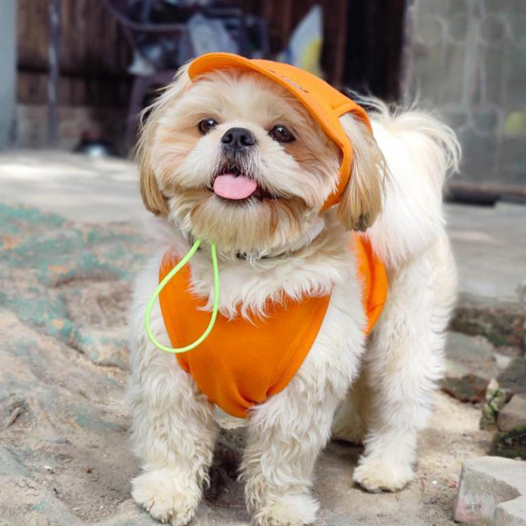 Orange Baseball Cap