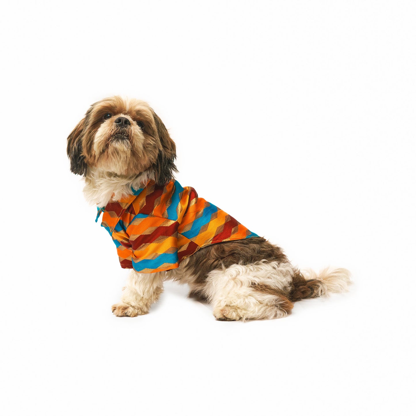 Multi-stripe Shirt
