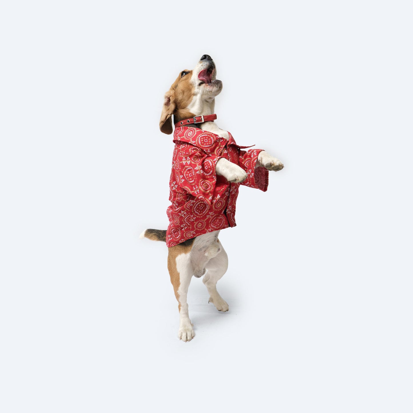 Bandhej Shirt: Red