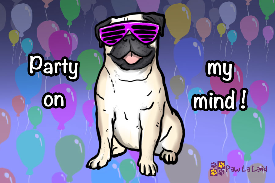 Party on my mind Magnet - PawLaLand