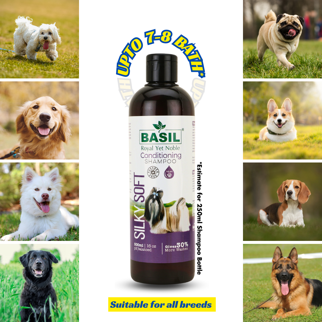 BASIL Silky Soft Conditioning Shampoo for Dogs and Puppies