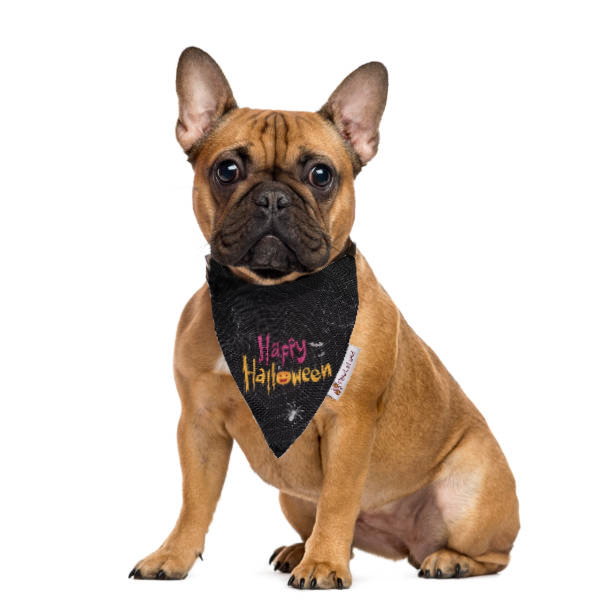 Spooky Halloween Bandana