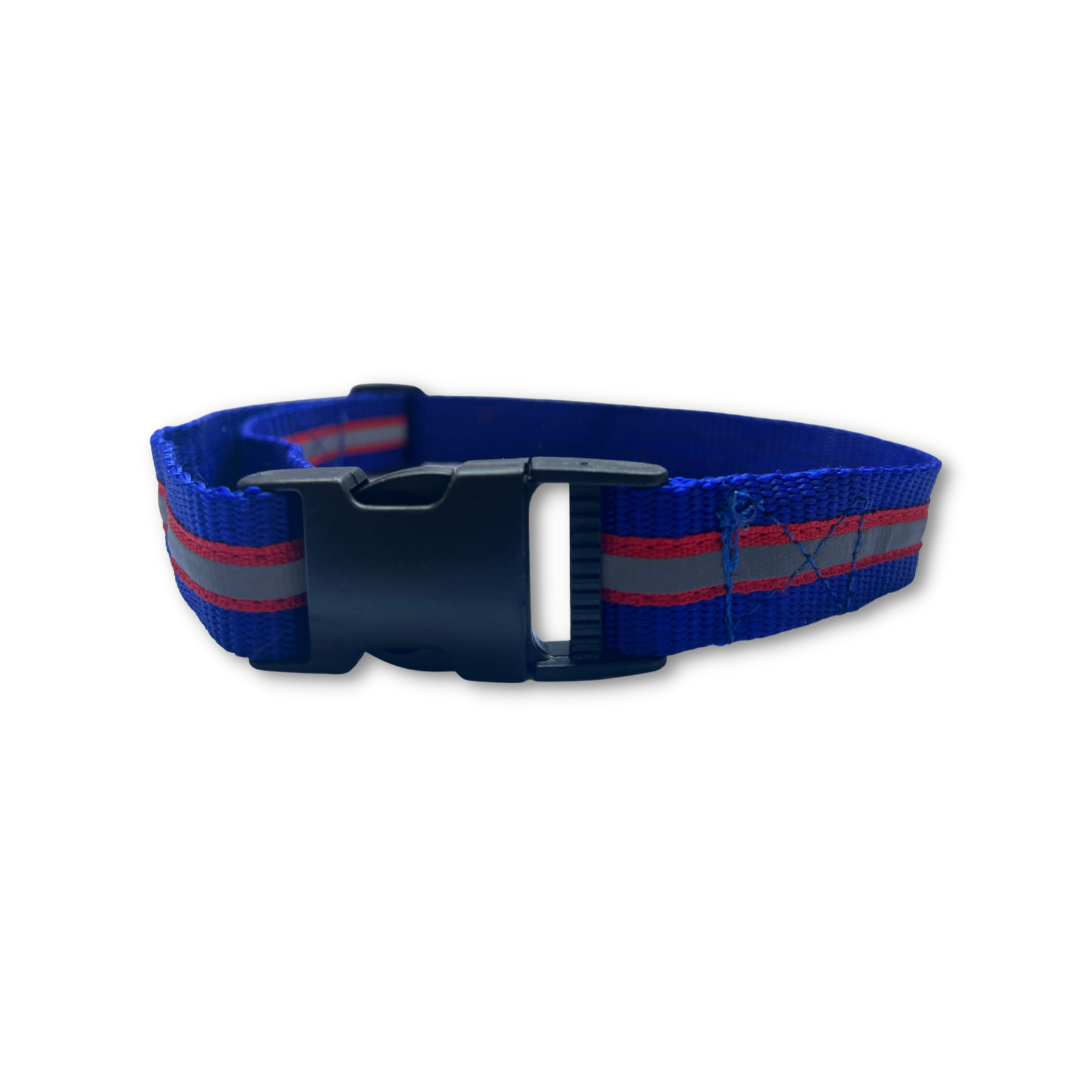 Blue Reflective Collar